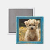 Instagramm-Foto-Magnet Magnet (Vorderseite/Rückseite)