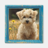 Instagramm-Foto-Magnet Magnet (Vorne)