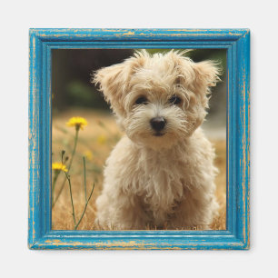 Instagramm-Foto-Magnet Magnet