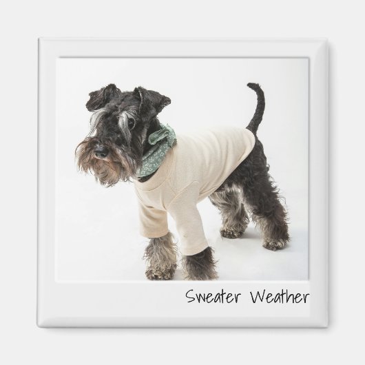 Instant Camera Custom Magnet für das Kühlerwetter (Vorne)