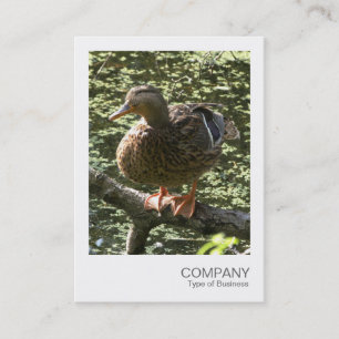 Instant Foto 010 - Happy Duck Visitenkarte