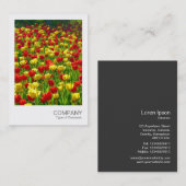 Instant Foto 017 - Tulips Visitenkarte (Vorne/Hinten)