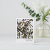 Instant Foto 01 - Eichhörnchen in einem Baum Visitenkarte (Stehend Vorderseite)