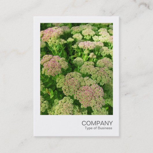 Instant Foto 033 - Beiblatt Visitenkarte (Vorderseite)