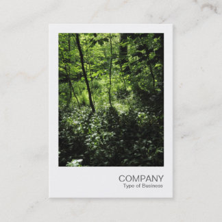 Instant Foto 040 - Frühjahr im Wald Visitenkarte