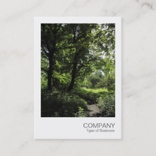 Instant Foto 041 - Frühjahr im Wald Visitenkarte
