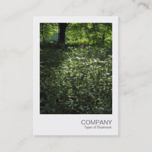 Instant Foto 042 - Frühjahr im Wald Visitenkarte