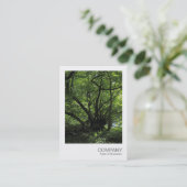 Instant Foto 043 - Ungewöhnlicher Baum Visitenkarte (Stehend Vorderseite)