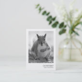 Instant Foto 045 - Graues Eichhörnchen BW Visitenkarte (Stehend Vorderseite)