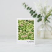 Instant Foto 058 - Sedum (Herbstfreude) Visitenkarte (Stehend Vorderseite)
