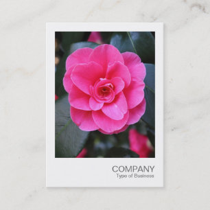 Instant Foto 067 - Pink Camellia Visitenkarte