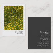 Instant Foto 078 - Bed of Yellow Daisies Visitenkarte (Vorne/Hinten)