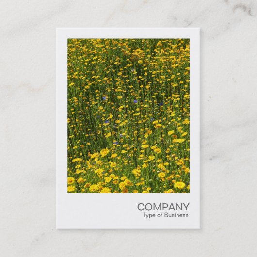 Instant Foto 078 - Bed of Yellow Daisies Visitenkarte (Vorderseite)