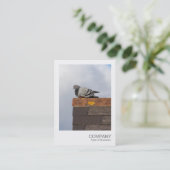 Instant Foto 082 - Good Morning Taube Visitenkarte (Stehend Vorderseite)