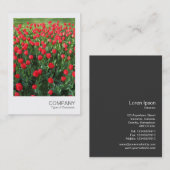 Instant Foto 086 - Bett von Red Tulips 01 Visitenkarte (Vorne/Hinten)