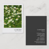 Instant Foto 091 - Daisy Meadow Visitenkarte (Vorne/Hinten)