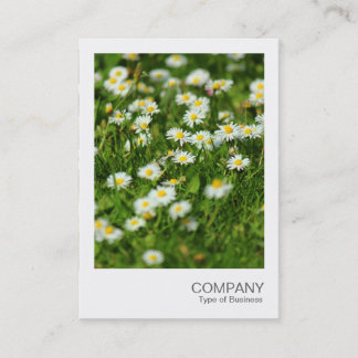 Instant Foto 091 - Daisy Meadow Visitenkarte