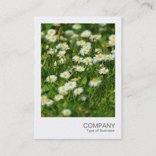 Instant Foto 091 - Daisy Meadow Visitenkarte (Vorderseite)