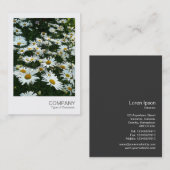 Instant Foto 09 - Shasta Daisy Visitenkarte (Vorne/Hinten)