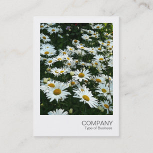 Instant Foto 09 - Shasta Daisy Visitenkarte
