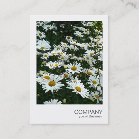 Instant Foto 09 - Shasta Daisy Visitenkarte (Vorderseite)