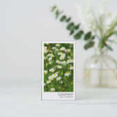 Instant Foto - Daisy Meadow Visitenkarte (Stehend Vorderseite)