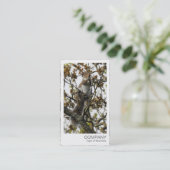 Instant Foto - Eichhörnchen in einem Baum Visitenkarte (Stehend Vorderseite)
