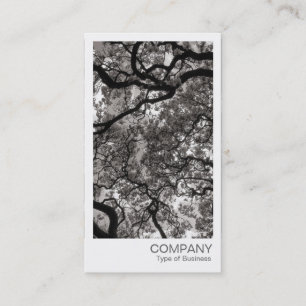 Instant Foto - Magnolia Trees Visitenkarte