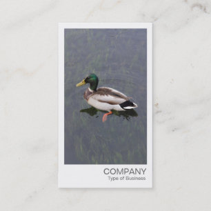 Instant Foto - Mallard Duck Visitenkarte