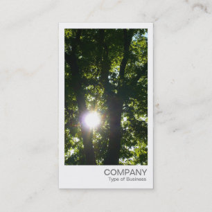 Instant Foto - Sonne durch die Bäume Visitenkarte