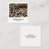 Instant Foto Style - Daisies Quadratische Visitenkarte (Vorne/Hinten)