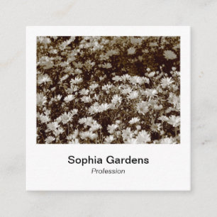 Instant Foto Style - Daisies Quadratische Visitenkarte