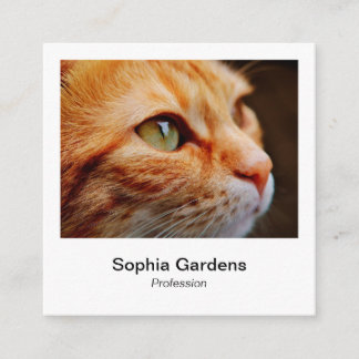 Instant Foto Style - Ingwerkatze Quadratische Visitenkarte