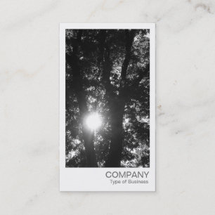 Instant Foto - Sun durch die Bäume BW Visitenkarte