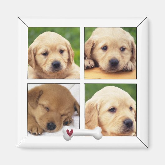 Instragram Foto Hundeschleifmagnete Magnet (Vorne)