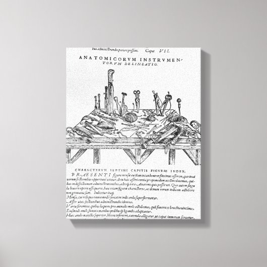 Instrumente für Abbildungen, Abbildungen aus "De" Leinwanddruck (Vorderseite)