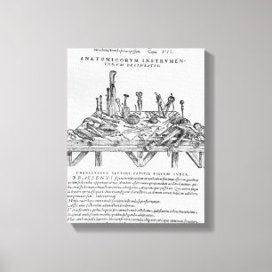 Instrumente für Zerlegungen, Illustration von 'De Leinwanddruck