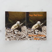 Insy Winsy Baby Meerkat Karte (Innenseite)