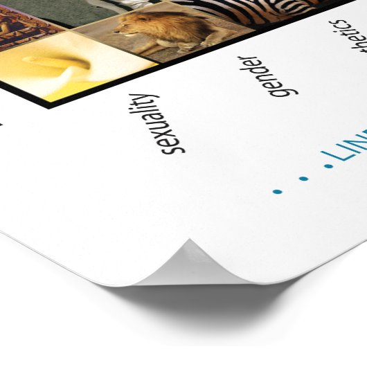 Integrierte Bühnen und Entwicklungslinien 5 Poster (Ecke)