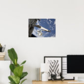 Integrierter Frachtführer Poster (Heimbüro)