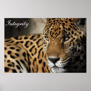 Integrität Poster