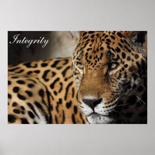 Integrität Poster (Vorne)