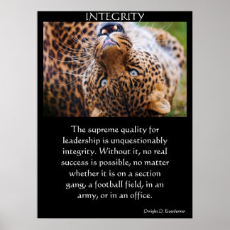 INTEGRITÄTSPOTER 31 POSTER