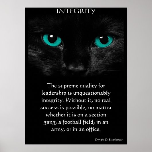 INTEGRITY Posters Poster (Vorne)