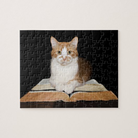 Intellectual Kitcat Puzzle (Horizontal)