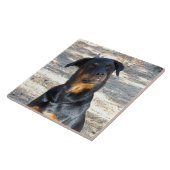 Intelligent Rottweiler Keramik Tile Fliese (Seite)