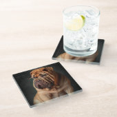 Intelligent Shar Pei Dog mit Buchdesign Glasuntersetzer (Schrägansicht)