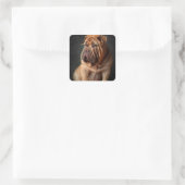 Intelligent Shar Pei Dog mit Buchdesign Quadratischer Aufkleber (Tasche)