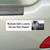 Intelligente Border-Collie Autoaufkleber (Auf Auto)