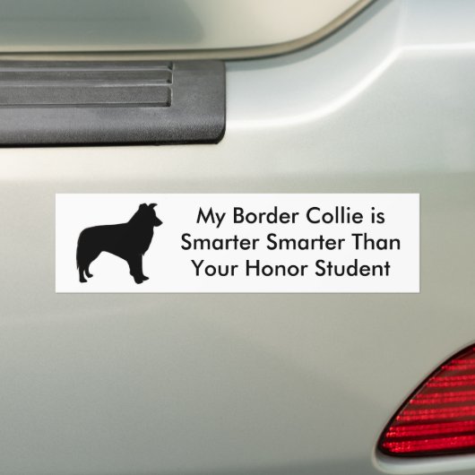 Intelligente Border-Collie Autoaufkleber (Auf Auto)